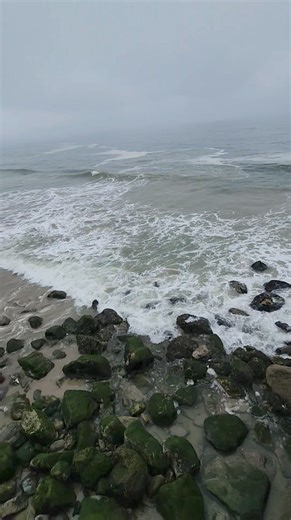 The vibe this morning at Sycamore Cove Beach. bit.ly/vcbeaches #pointmugustatepark #sycamorecove #venturacounty | Conejo Valley Guide