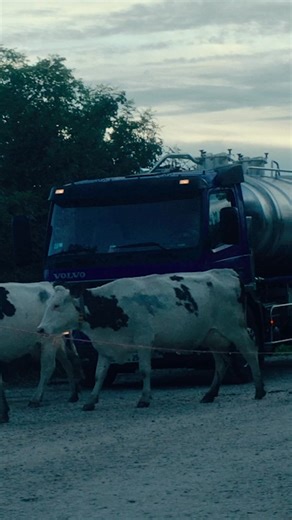 VINGT DIEUX is vanaf nu te zien in de bioscoop! ★★★★ “Er zijn films die niet veel tijd nodig hebben om je te veroveren. Vingt Dieux is zo’n film” Trouw | ★★★★ “Met een hoogst originele film die, net als haar hoofdpersonen, gespeend is van sentimentaliteit, weet Courvoisier een snaar te raken” NRC | ★★★★ “Leuke, lieve lentefilm” Saar Magazine |“Staat bol van onverwachte details” De Filmkrant | Paradiso Filmed Entertainment Nederland | Facebook