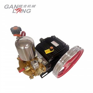 [Hot Item] Agricultural Farm 5.5HP Gasoline Engine Power Sprayer Three Plunger Pump