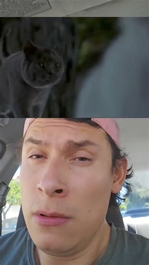 #stuartlittle #doblaje #imitacion | TG Imitandup