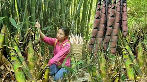 Harvest Dragon Fruit & Bamboo shoots, processed bamboo shoots Go market sell | Phuong - Harvesting