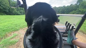 18 reactions | JIMMY WAYNE on Reels | Facebook