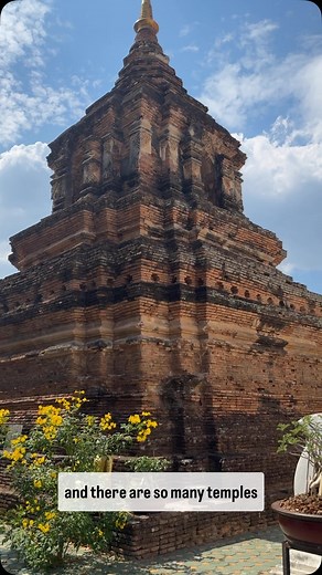 I made it to Thailand and found interesting fish in a temple pond. Wat Jet Lin Temple, Chiang Mai, Thailand # big fish, #Wat Jet Lin Temple, Chiang Mai temples | Colleen Kai Shaw Dilmore