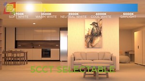 ASD 24 Pack LED Disk Lights 6 Inch, 15W 5CCT 2700K-5000K 1245LM CRI90+, Dimmable Flush Mount Ceiling Light Fixture, Low Profile Surface Mount Disc, Junction Box or Recessed Can Install, UL Energy Star