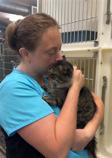 🐾 Now Hiring Animal Caregivers! 🐾 If you’re ready for a real glow-up ✨ (and a job full of love), join our team! 👉 Apply today at dunncountyhumanesociety.org/employment #NowHiring #AnimalShelterLife #DreamJob #AnimalLovers | Dunn County Humane Society