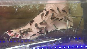 Lycus River Thermal Hotel, Pamukkale, Turkey #travelagent #turkeyholiday #travel #turkey #travellife #pamukkaleturizm #pamukkale #pamukkaleturkey | Oxford Travels