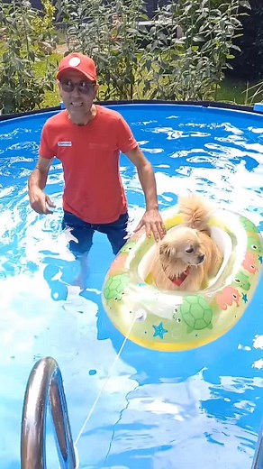 🌊🐶 Volker und sein treuer Co-Pilot chillen im Pool☀️aber ohne das richtige Zubehör? Undenkbar! 💦☀️ 💡 Ob Schwimmreifen, Poolreiniger, Filter, Thermometer oder die coolste Schwimmhilfe für deinen Vierbeiner 🦮wir haben ALLES für euren perfekten Pool-Sommer! 🛟🏖️ Riesen Auswahl an Pool-Zubehör – für Groß, Klein & Fellnasen. 👉 Komm vorbei und mach deinen Garten zum Urlaubsparadies! #poolzubehör #sommerzeit #poollife #volkerimpool #hundeliebe #gartenzeit #sommer2025 #hagebaumarkt #poolfun #haus