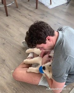 2.2K views · 94 reactions | ❤️❤️❤️ | EGYPT Dogs | Facebook