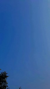 18K views · 4.6K reactions | London ki sari  | Tanya Shri | Facebook