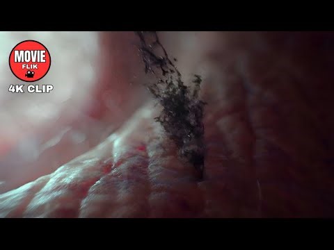 Spores Infect Them | Alien: Covenant (2017) | 4K Movie Clip