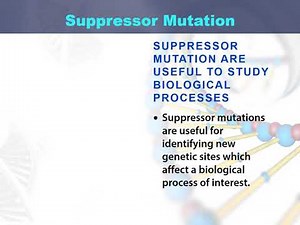 suppressor mutation