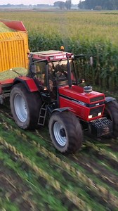Case International 1455 XL . . . . . #caseih #caseinternational1455 #1455 #tractorporn #casepower #landbouwpowers #instareel #maisernte #agripics #veenhuis #claasjaguar #harvest #agriculture | Landbouwpowers