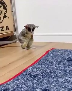 Each ASKfm user before registering in the social network! Do not be afraid! Pour to us | ASKfm