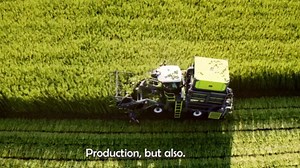 Inside the Process of Hemp Fiber and CBD Oil Production