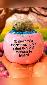 35K views · 1K reactions | Cactus.suculentas on Reels | Facebook