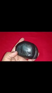 17 reactions | দামোদর শালগ্রাম Damodar Salagrama For collection M/WPP 6290235467 | Divya Salagrama | Facebook