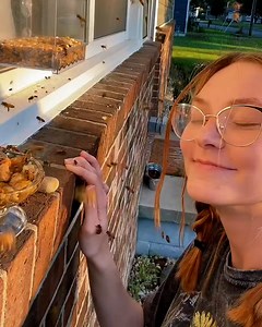 Hungry bees eagerly swarm their caretaker as she refills their feeder 🍯🐝 | Furry Tails