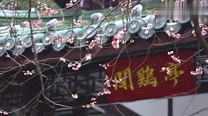 17 reactions | Rare! "Ice plum blossoms" have bloomed in Xuanwu Lake, Nanjing, Jiangsu province, China! This is due to freezing rain, which has encased some of the plum blossoms' buds and petals in ice, making them crystal clear and presenting a unique scene! #mostbeautifulspring | Huanqiu.com | Facebook