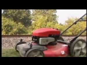 Memphis homeowners with unruly lawns are opting for a 'bikini cut.' Woman don swimsuits and fire up