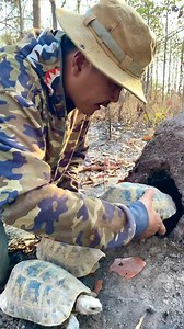 A man walking in the forest sees a turtle with a turtle hole.part04#eagleand #nature #bird #parrot#parrots #birds #parrotsofinstagram #bird #parrot #birdsofinstagram #parrotlover #pets #parrotlife #animals #pet #Real ] | Haknuman Real