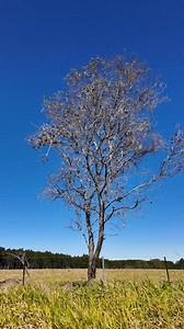Get your Jimny’s lift aligned correctly with the new Superior Panhard Rods! These heavy-duty, fully adjustable rods will align your diff under the vehicle once a lift kit is fitted — and they’re tough enough to handle anything off the track, so no more worries about bending! https://tinyurl.com/3km52v5r #superiorengineering #superior4x4 #superior #jimny #jimnyxl #panhardrod | Superior Engineering