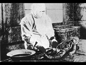 Unit 731 Japanese Torture & Human Medical Experiments 部隊の真実