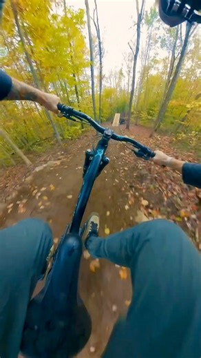 Fresh Freeride Trail! #mtb #quebec | Mark Matthews