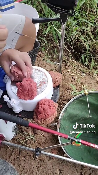 Chanh Fishing trên TikTok