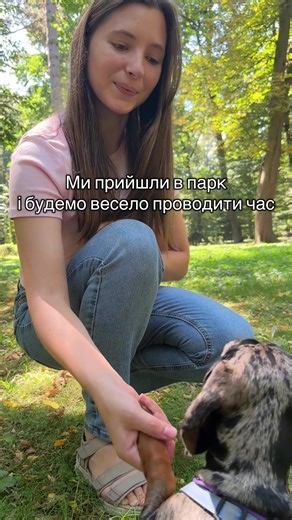 Ellice Dachshund на TikTok