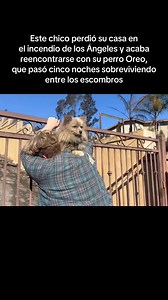 #Conmovedor En un conmovedor episodio que ha tocado los corazones de muchos, Casey Colvin, un hombre afectado por los devastadores incendios en Los Ángeles, logró reencontrarse con su perro Oreo, quien sobrevivió cinco días entre los escombros de su hogar destruido. | MiRegión360