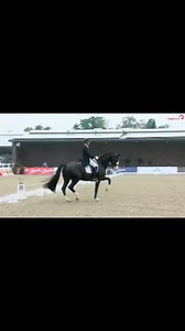 1.8K views · 117 reactions | Piaffe #caballos #caballo #equitacion #jinetes #domaclasica #adiestramientocaballos #dressage #horse #caballos | Briones Dressage | Facebook