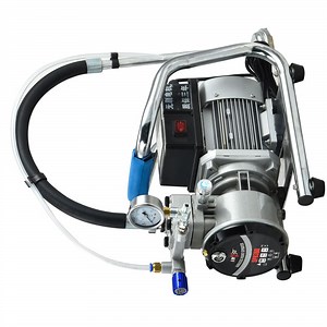 [Hot Item] Hyvst Painting Machine Airless Paint Sprayer Diaphragm Pump Spx380