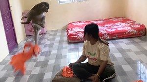 4.4K views · 238 reactions | Jason Bounce To Blame Mom Stop Bother Design Clothes | Monkey Jason | Facebook