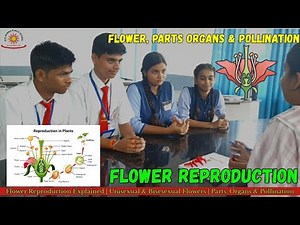 🌸Flower Reproduction Explained | Unisexual & Bisexual Flowers | Easy Biology for Students