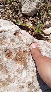 ‎✨دعسه قدم ✨مع جرن وسيع✨‎ Part 8 | تحليل الاشارات والكنوز