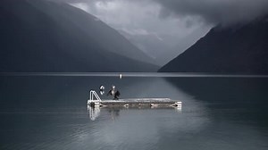 Cormorant Drying Wings on Floating Dock on Lake