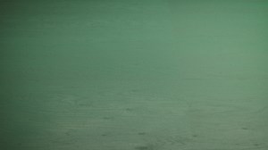 Vi fortsätter presentera våra sponsorer inför SWB Equestrian Weeks -...