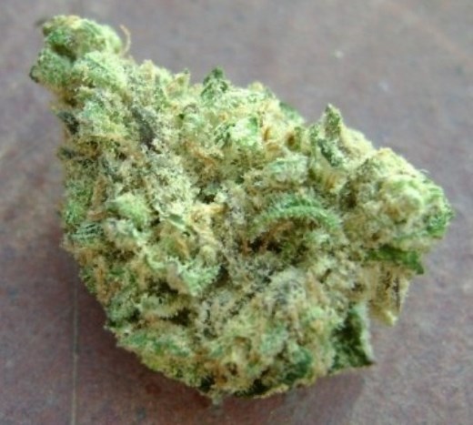 Honey Boo Boo | Marijuana Strain Reviews