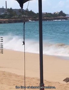 8.2K views · 68 reactions | Unforgettable Summer | Jacoby Ray | Facebook