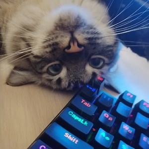zastey7sy - Twitch