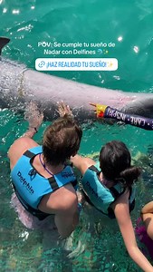 Dolphin Discovery on Reels | Facebook
