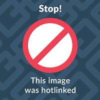 Card Shark Review - Capsule Computers