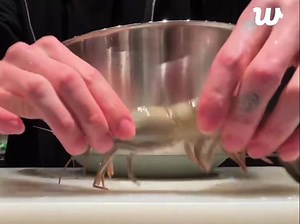 35K views · 1.4K reactions | lmaoooo he playing with the shrimp | Trap In Euphoria | Facebook