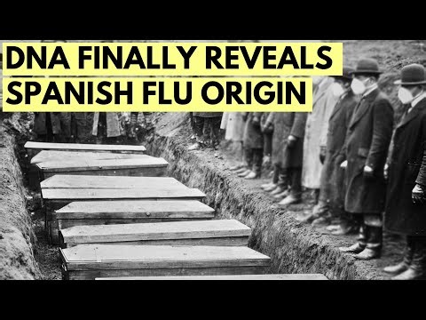 Ancient DNA Finally Reveals the REAL Origin of the Spanish Flu