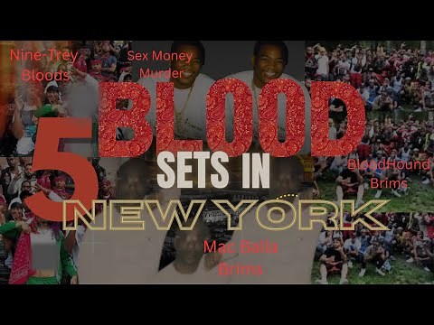 5 Blood Sets In New York | (New York Gangs)