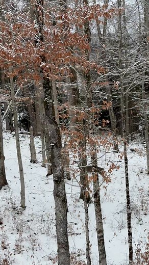 Gary Roberts on Reels