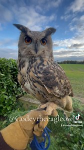 1.5K views · 2K reactions | Did you know that European eagle-owl can...