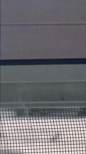 OPP explorer responding