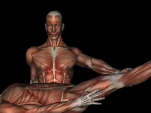 Orthopedic Test - WELL LEG RAISE TEST