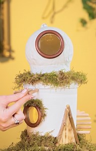 269K views · 542 reactions | I piccoli ospiti meritano grande amore - adorabili case fai-da-te per animali domestici! | 5-Minuti Creativi MAGIC | Facebook